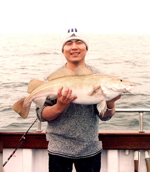 Specimen Gurnard