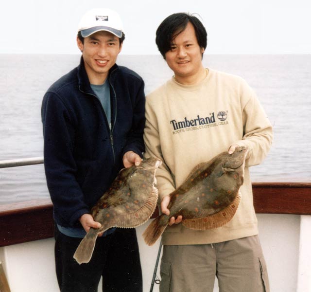 Specimen Gurnard