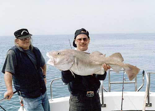 Cod 1