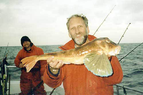Specimen Gurnard