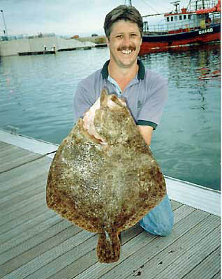 Turbot