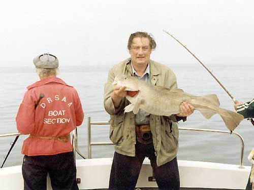 cod 3